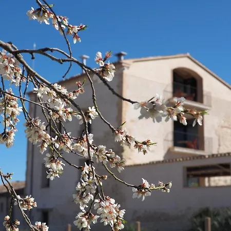 Alemany Aparthotel 3*